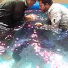 Recent Baptism ceremony  