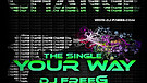 DJ FreeG and David Iro feat. Conny - Your Way (Radio Edit)