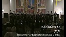 Udruzeni hor BC u Srbiji - koncert u Beogradu
