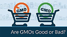 Are GMOs Good or Bad
