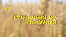 Protected by His Word 
