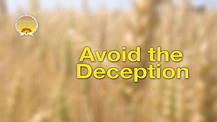 Avoid the Deception 