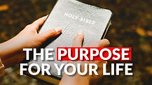 The Purpose For Your Life