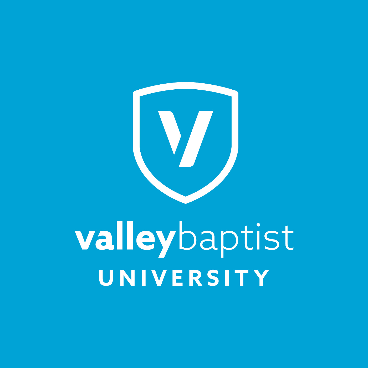 Valley Baptist University