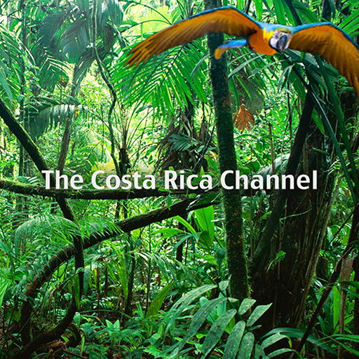 The Costa Rica Channel