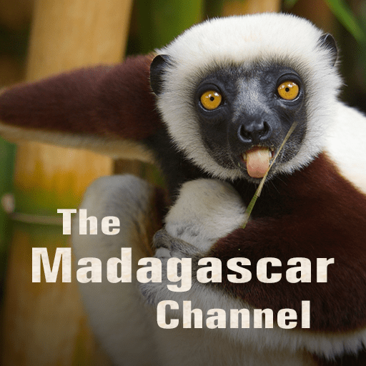 The Madagascar Channel