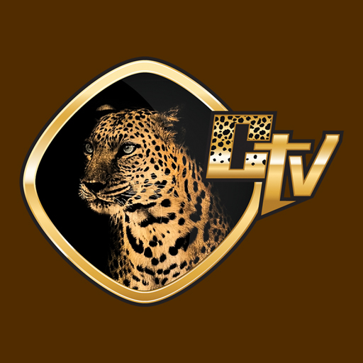 Cheetah TV