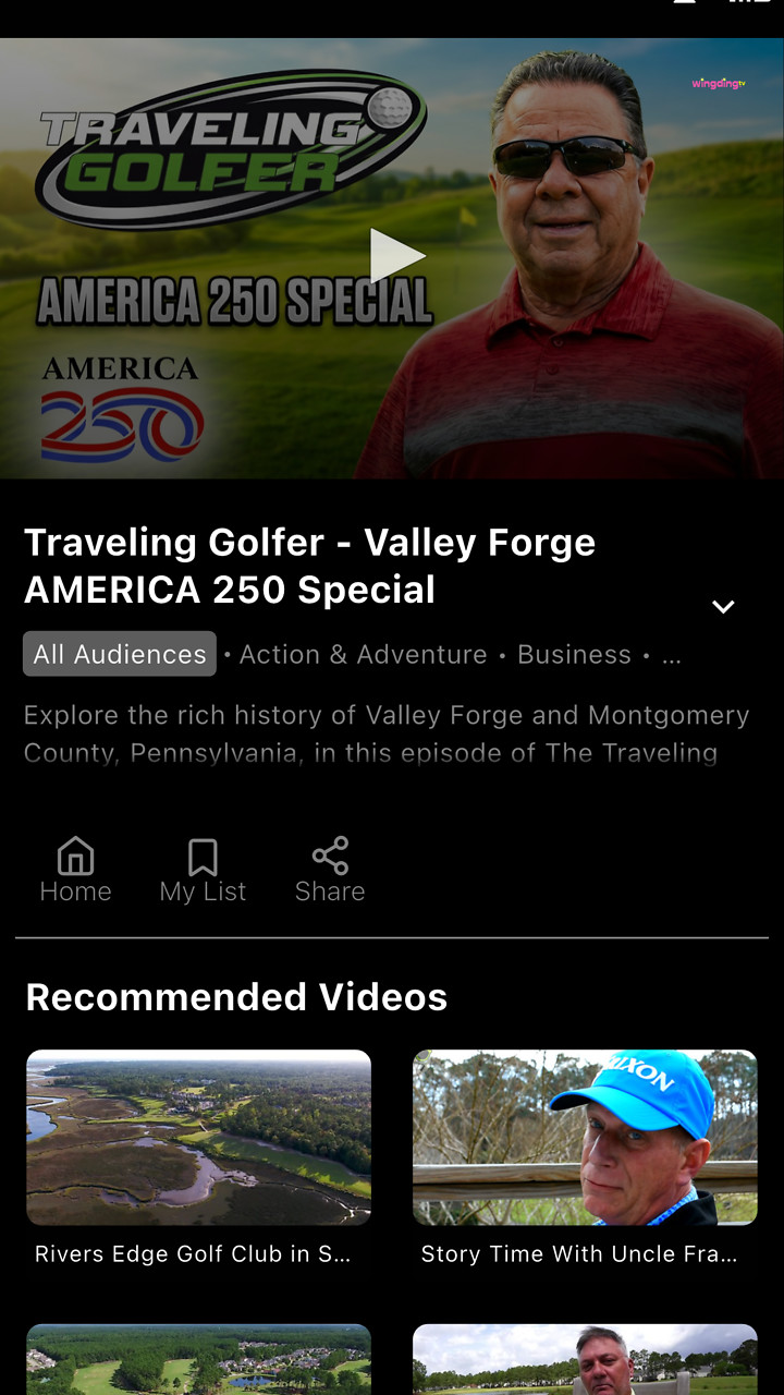 wingding TV Screenshot 003
