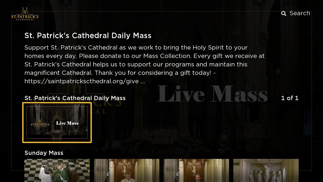St. Patrick's Cathedral Screenshot 001