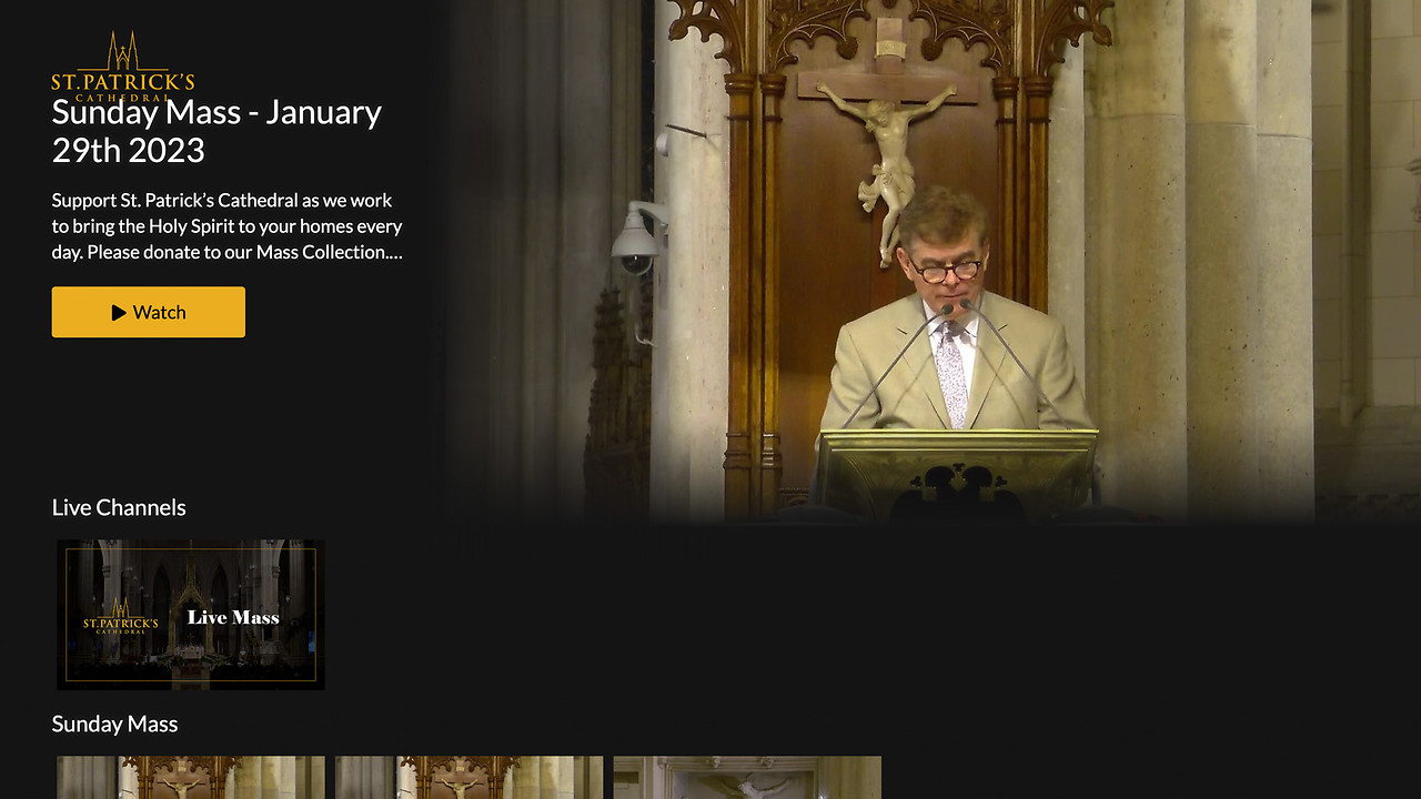 St. Patrick's Cathedral Screenshot 001