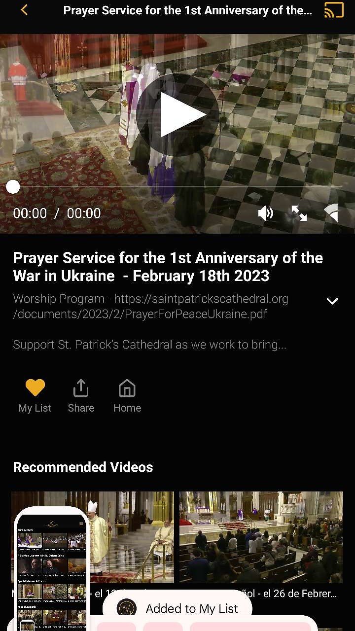 St. Patricks Cathedral NYC Screenshot 003