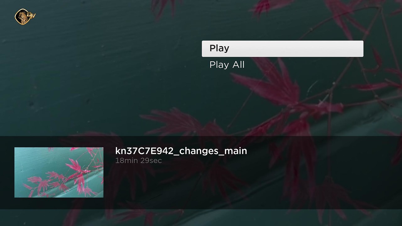 Cheetah TV Screenshot 003