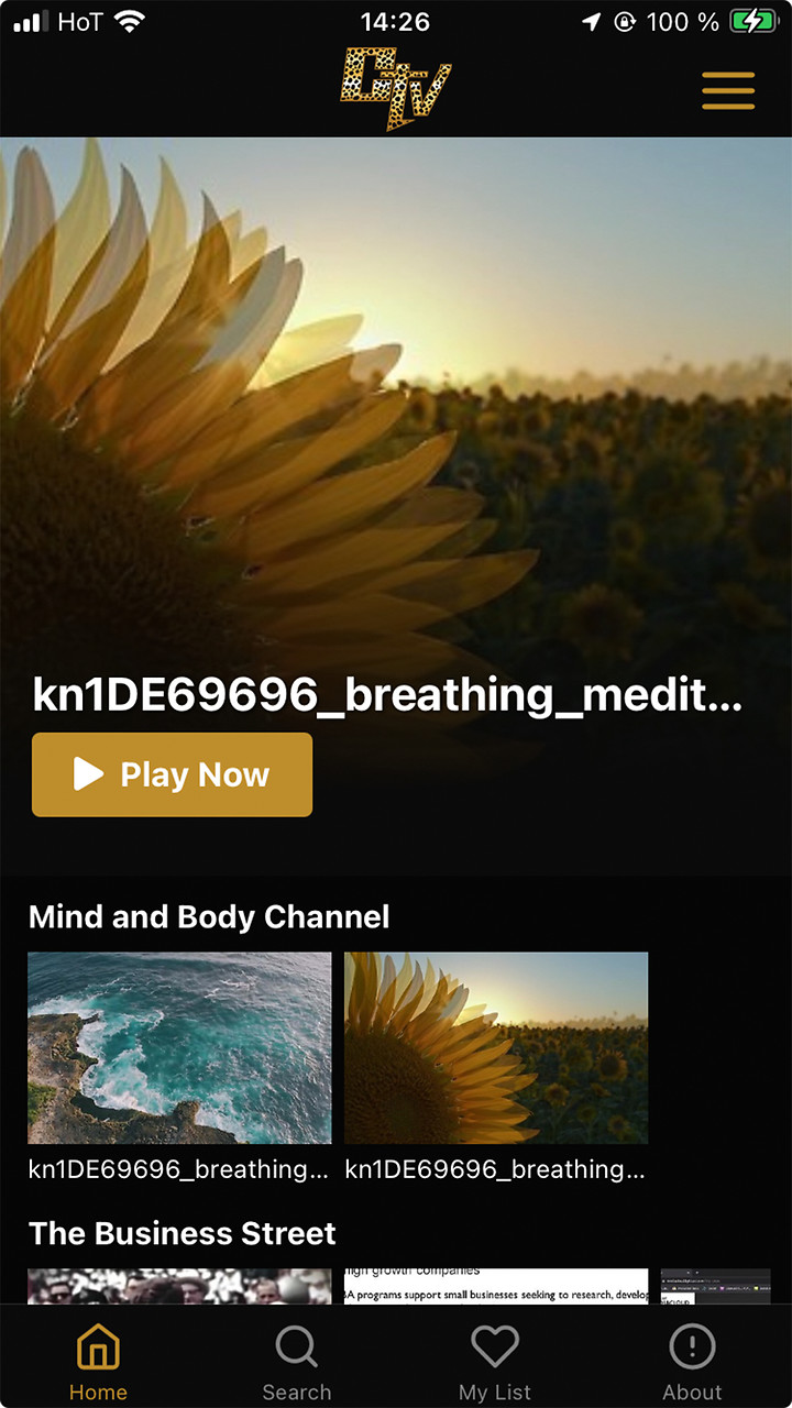 CheetahTV Screenshot 001