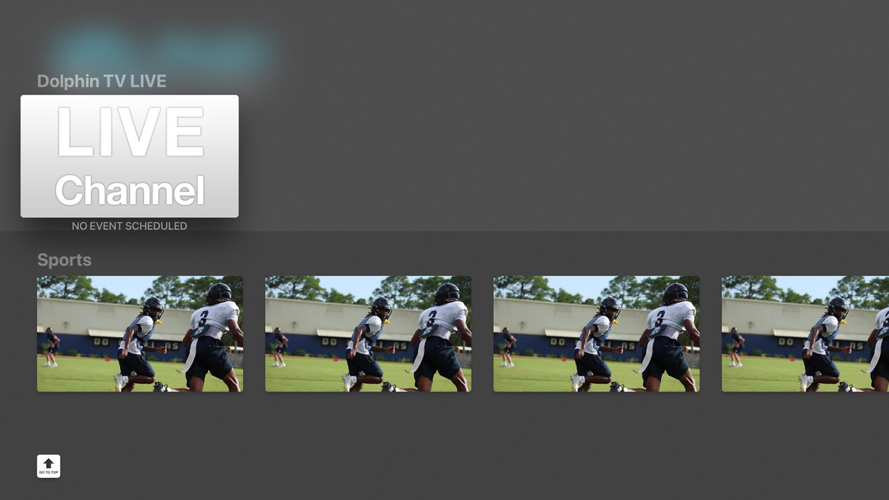 Dolphin TV Screenshot 002