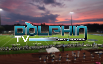 Dolphin TV