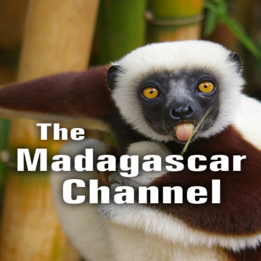 The Madagascar Channel