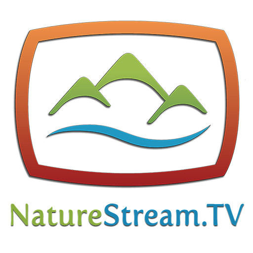 NatureStream.TV Ambient Nature Films & Art