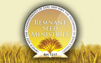 Remnant Seed Ministries