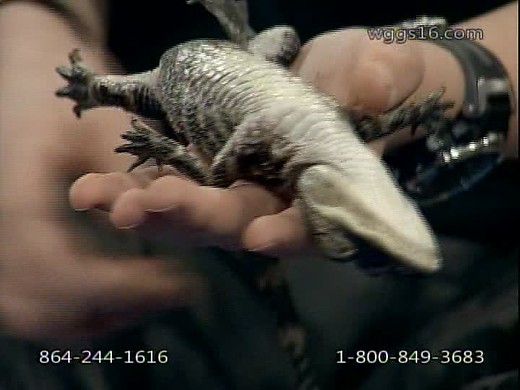 Dove Broadcasting Presents