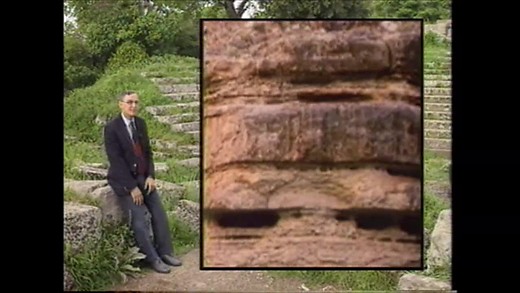 Evolution: Fact…or Belief?