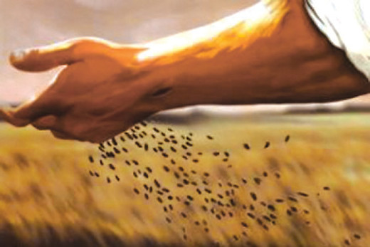 Biblical Prosperity (10) - Sowing and Reaping (1)