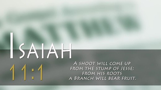 Jewish Voice with Jonathan Bernis  (audio)