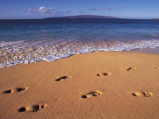 Footprints in the Sand-Evidence for the Creator