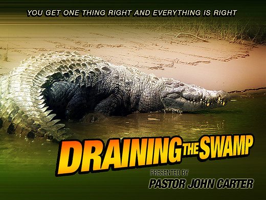 Draining the Swamp