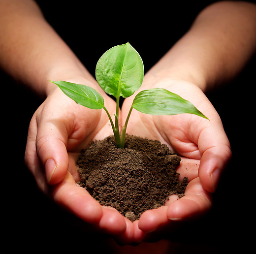 Can Bad Dirt Become Good Soil?