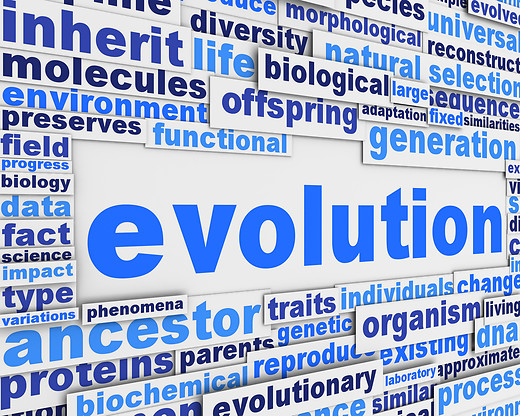 The Death of Darwinism - Part 2