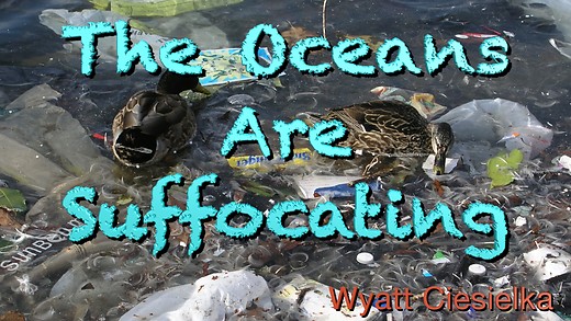 The Oceans Are Suffocating