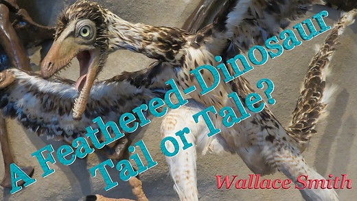 A Feathered-Dinosaur Tail or Tale?