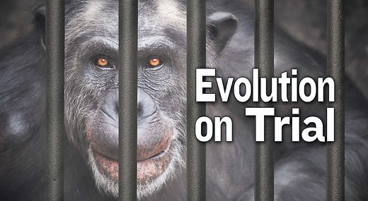 Evolution on Trial