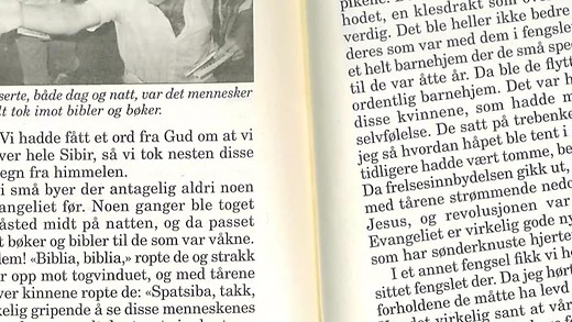 TV Vision Sverige (audio)