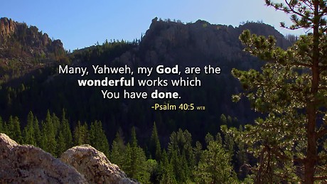 Daystar