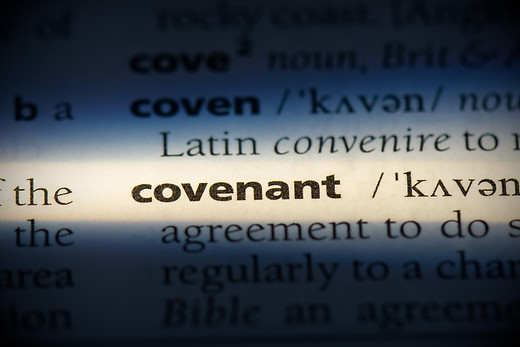 "The Covenants"