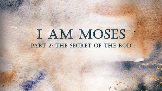 I Am Moses Pt. 2 | Jimmy Evans