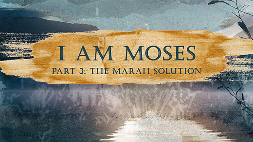 I Am Moses Pt. 3 | Jimmy Evans