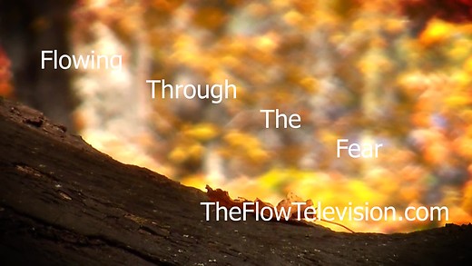 The Flow Video Streaming App: Watch More Shows Now At: TheFlow.Lightcast.com