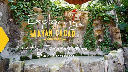 The Mayan Bee Sanctuary