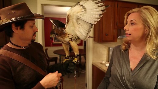 FALCONERS episode artwork