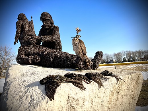 Coopers Hawk Road Trip episode artwork