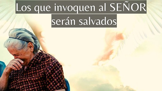 Romanos 10-2 | El que cree en ÉL no será avergonzado