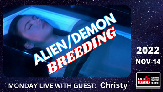 I was Abducted & Impregnated. Christy's Account
