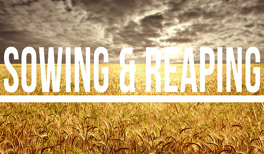 GALATIANS (38): Sowing and Reaping (Galatians 6:6-10).