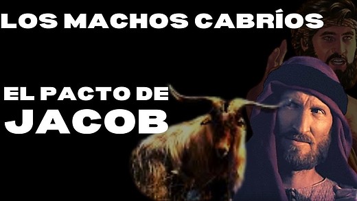 Génesis 30-2 | El pacto entre Jacob y Labán | Jacob salió con ganancia