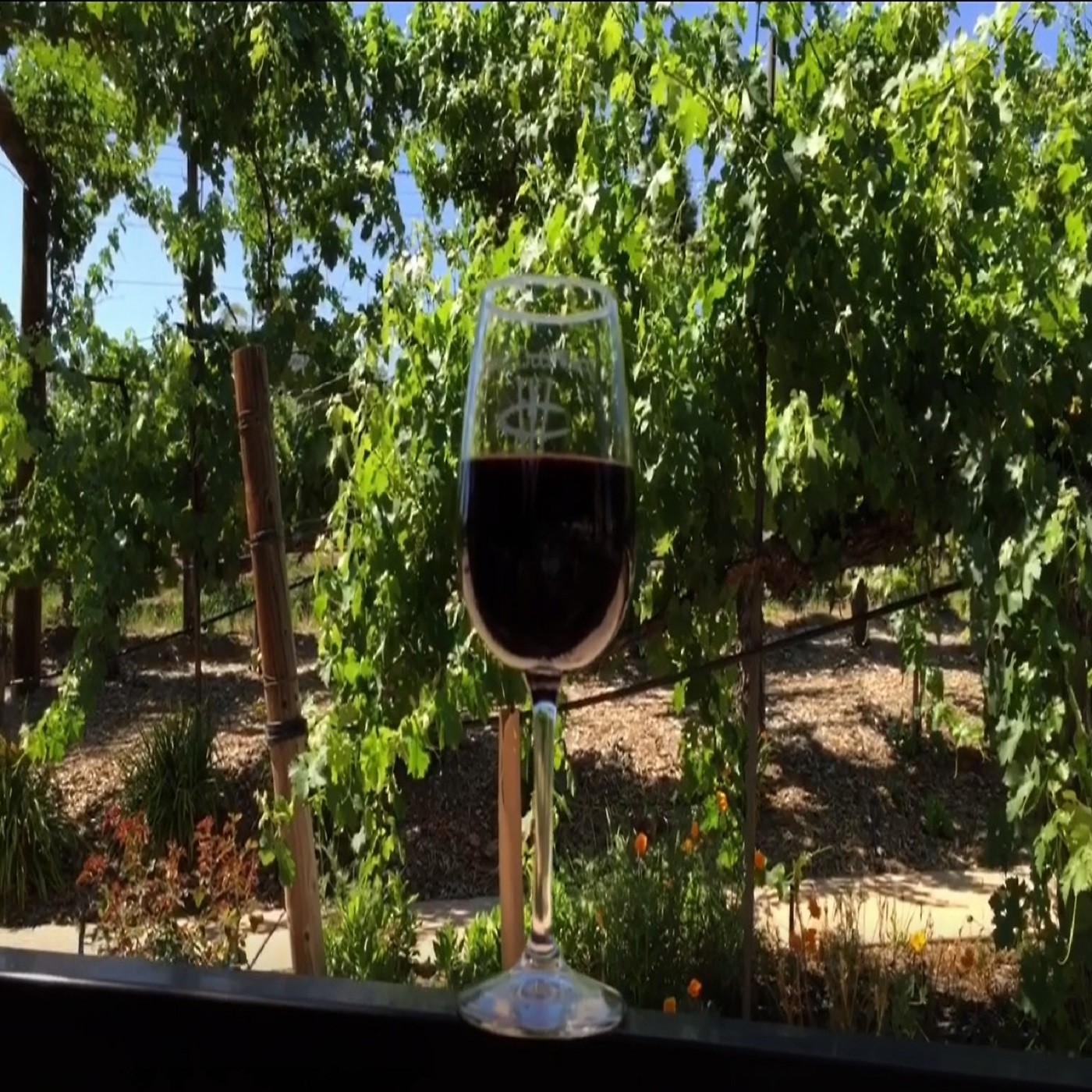 Wine in Unexpected Places