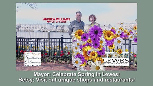Visit Lewes This Summer!