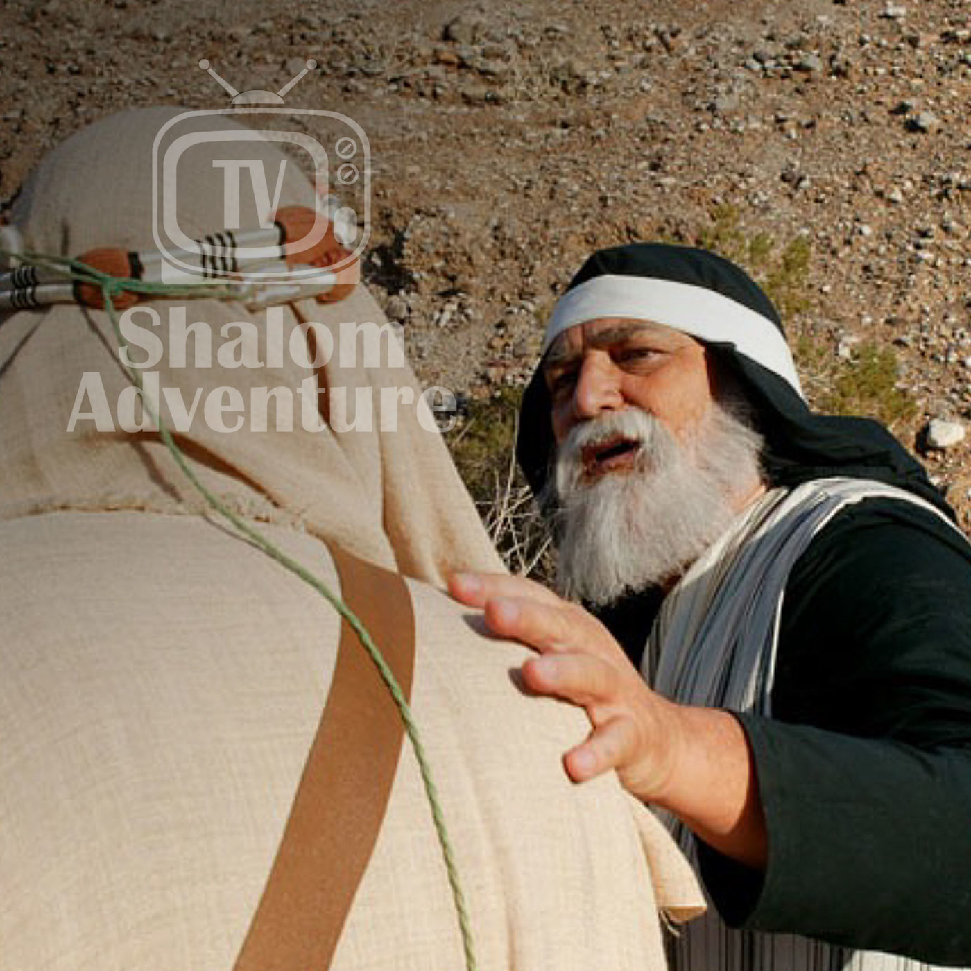 Genesis 14 - Abraham Delivers Lot