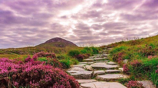 Possessing your Promised Land